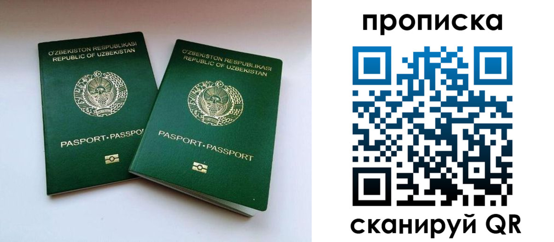 прописка поиск в Гусеве
